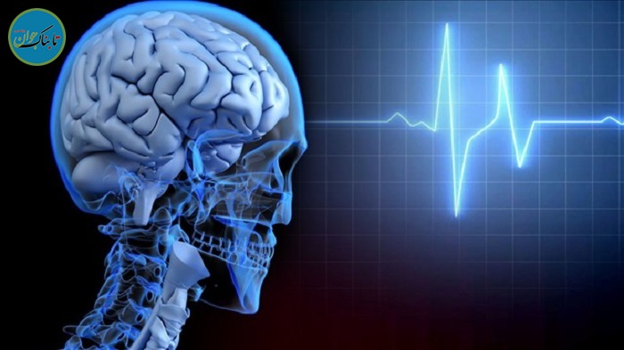 سلامت مغز