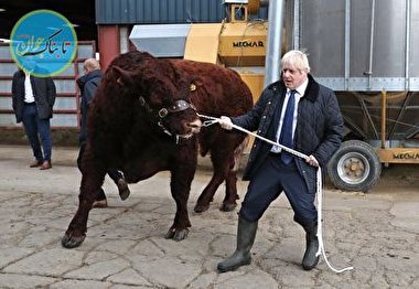 حرکات عجیب نخست وزیر انگلیس