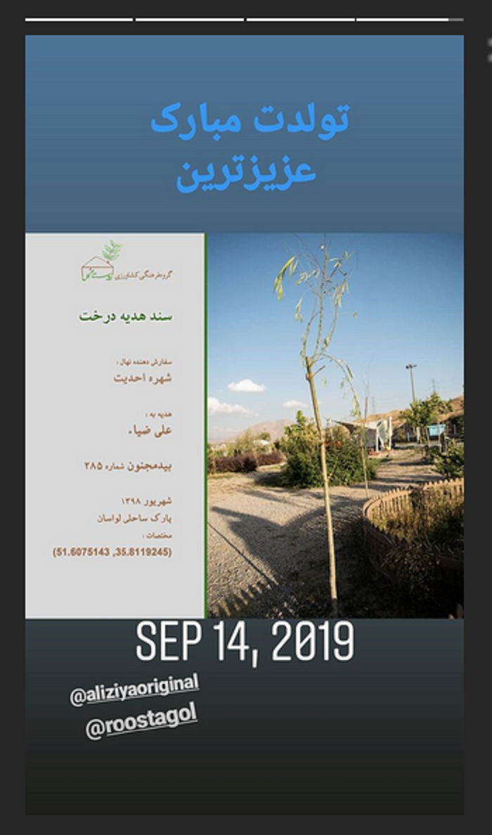 استوری مادر علی ضیا