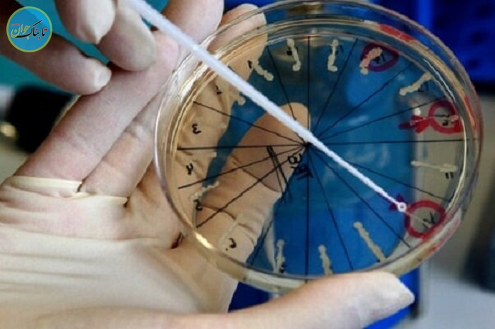 آزمایشگاه ویروس شناسی