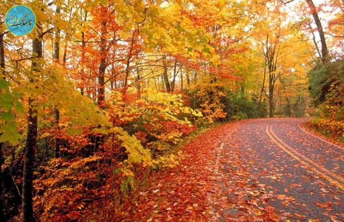  بوی پاییز 