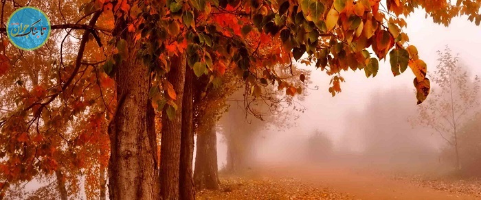 پاییز زیبا