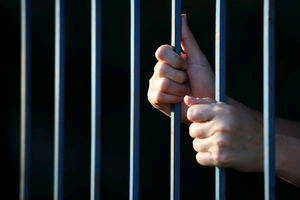 چرا حیوانات بچه خود را می خورند