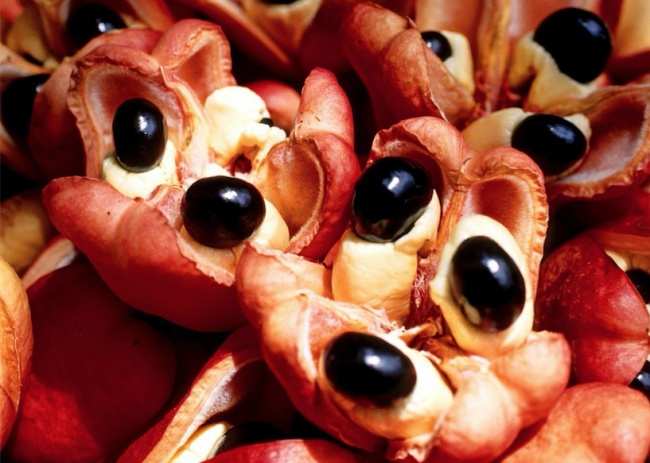 چندش آورترین غذا‌های محبوب مردم سراسر جهان!