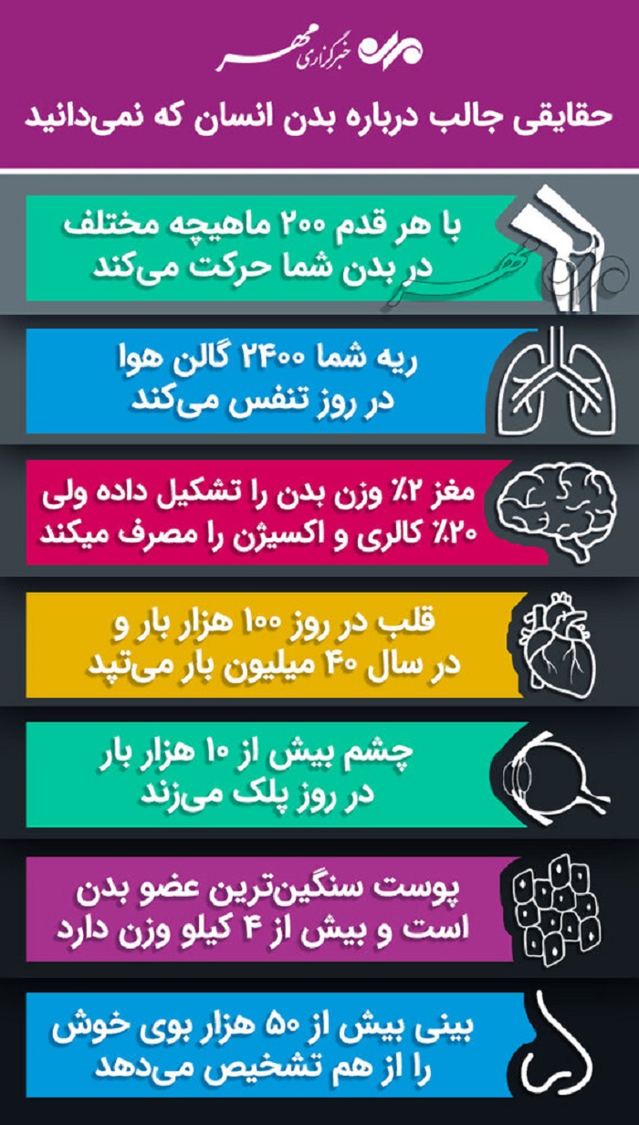 اینفوگرافیک