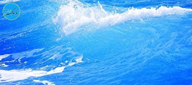 ورود کوسه به قفس تصویربردار + فیلم