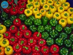 سبزیجات کم‌کالری برای کاهش وزن را بشناسید