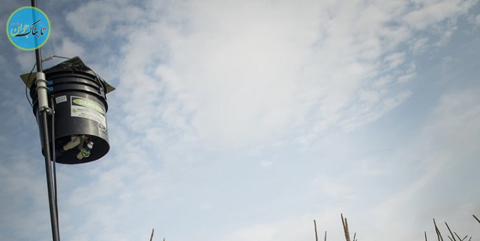 مترسک لیزری که پرندگان مزاحم را دور می کند