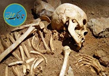 نبش قبر مردگان