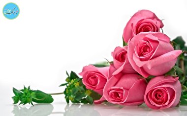 پیام تبریک قبولی در دانشگاه