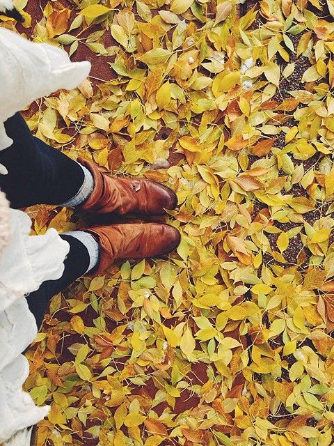 پاییز در راه است + مجموعه شعرها و پیامک های پاییزی اس ام اس پاییزی