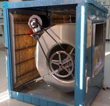 دزدی عجیب در کمتر از ۱ ساعت+فیلم