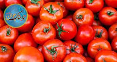 گوجه ارزان شد امان از گرانی رب