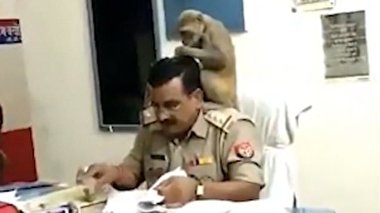 همکار با معرفت مأمور پلیس غوغا به پا کرد !+فیلم