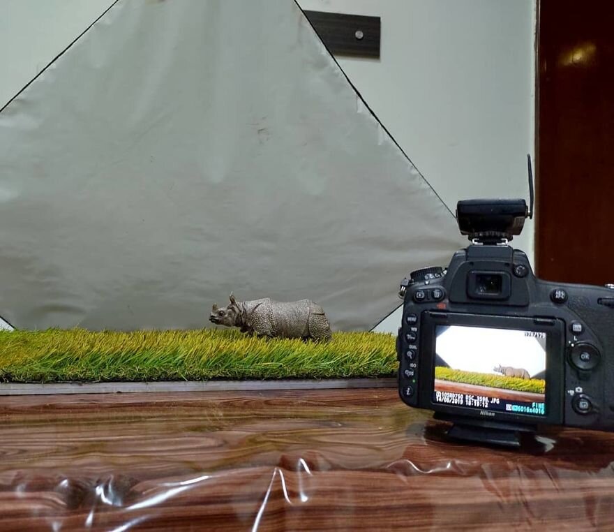 عکاسی از مدل‌های مینیاتوری حیات‌وحش