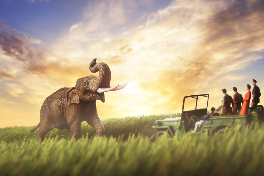 عکاسی از مدل‌های مینیاتوری حیات‌وحش