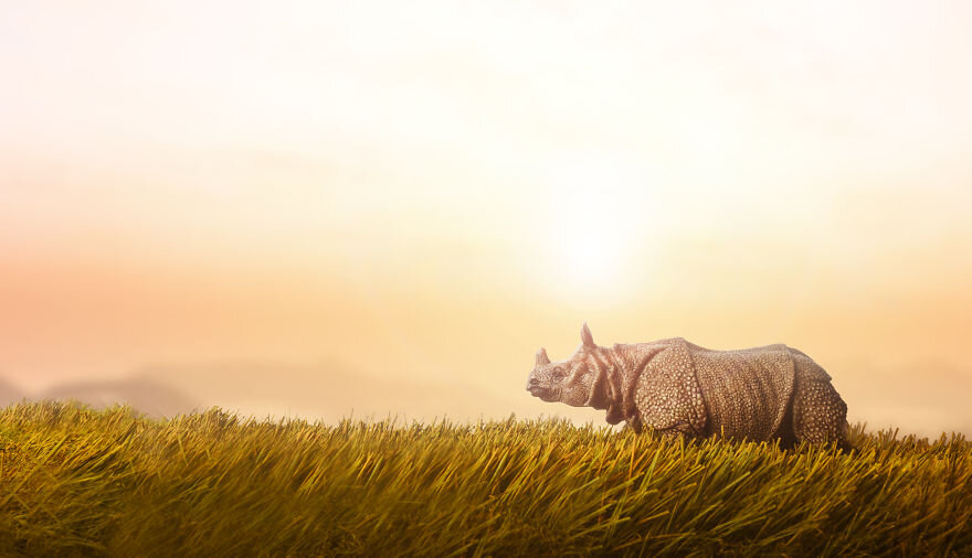 عکاسی از مدل‌های مینیاتوری حیات‌وحش