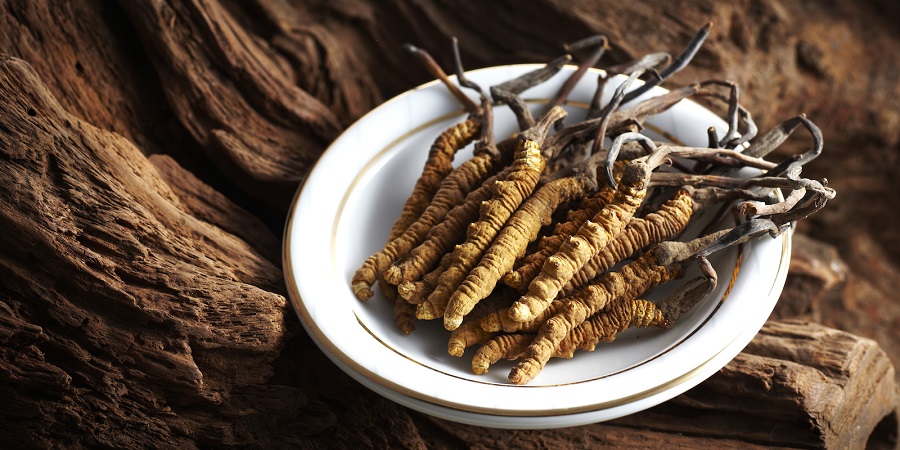 قارچ کرم صدپا