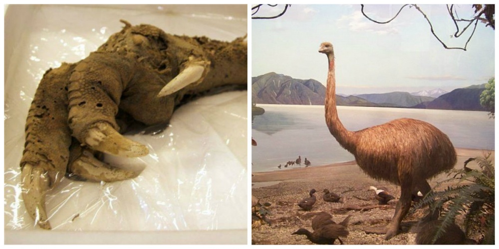 ۱۰ کشف حیرت انگیز در جهان را بشناسید