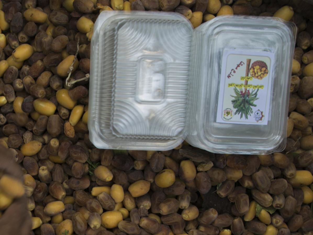 خرمای نخل‌های بین‌الحرمین