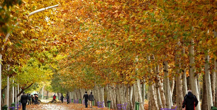 پاییز خیابان ولیعصر تهران 