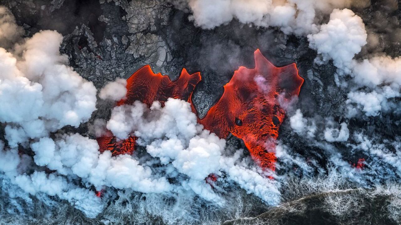 برندگان مسابقه عکاسی حیات وحش سال ۲۰۱۹