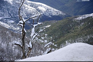 آغاز بارش نخستین برف پاییزی در تهران