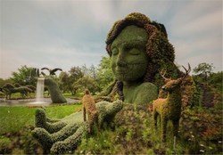 شاهکارهایی از ماهرترین باغبان های دنیا در هلند