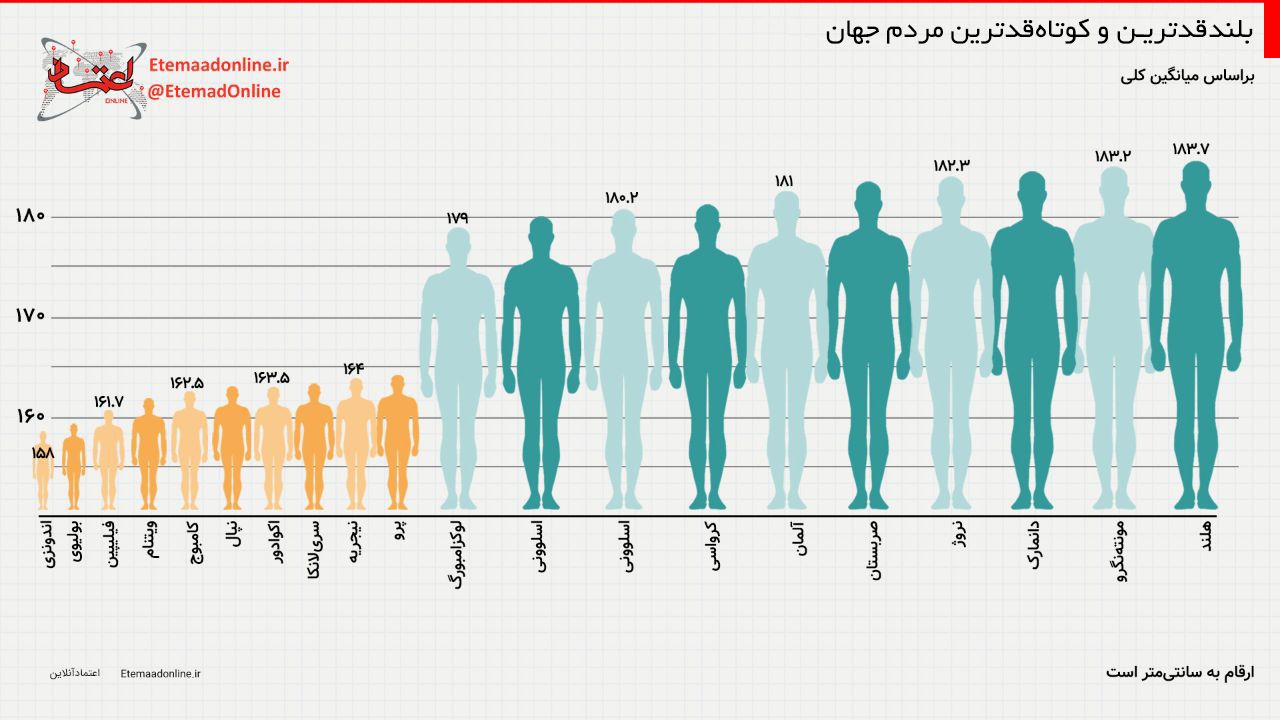 اینفوگرافیک بلندقدترین و کوتاه‌قدترین مردم جهان در کدام کشورها 