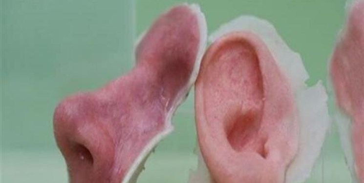 طراحی جوهر زیستی توسط محققان ایرانی