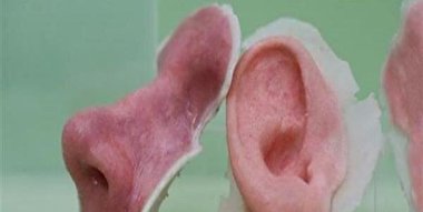 طراحی جوهر زیستی توسط محققان ایرانی