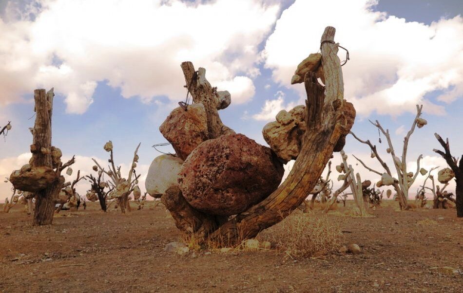 باغ سنگی سیرجان
