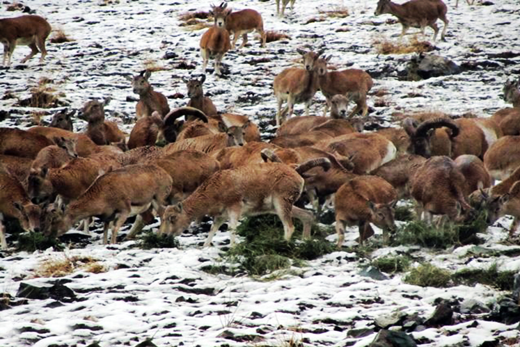 روزهای آخر پاییز در پایتخت کجا برویم؟