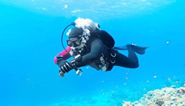 بیرون کشیدن زنجیر از دهان کوسه توسط زن غواص