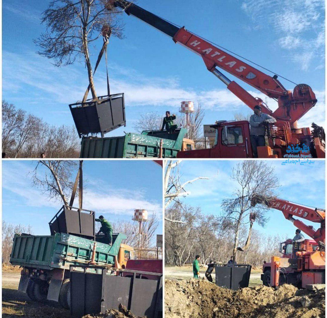 شهرداری همدان