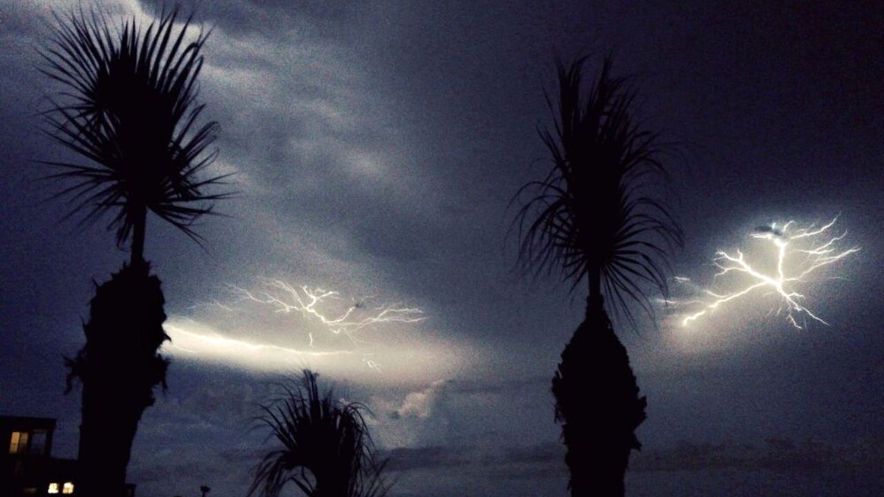 تصاویر منتخب محیط زیست در سال ۲۰۱۹