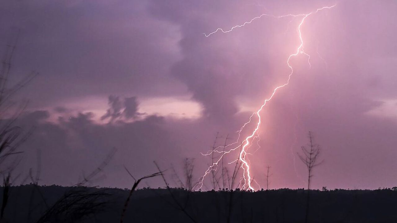 تصاویر منتخب محیط زیست در سال ۲۰۱۹