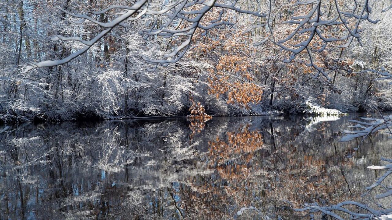 تصاویر منتخب محیط زیست در سال ۲۰۱۹