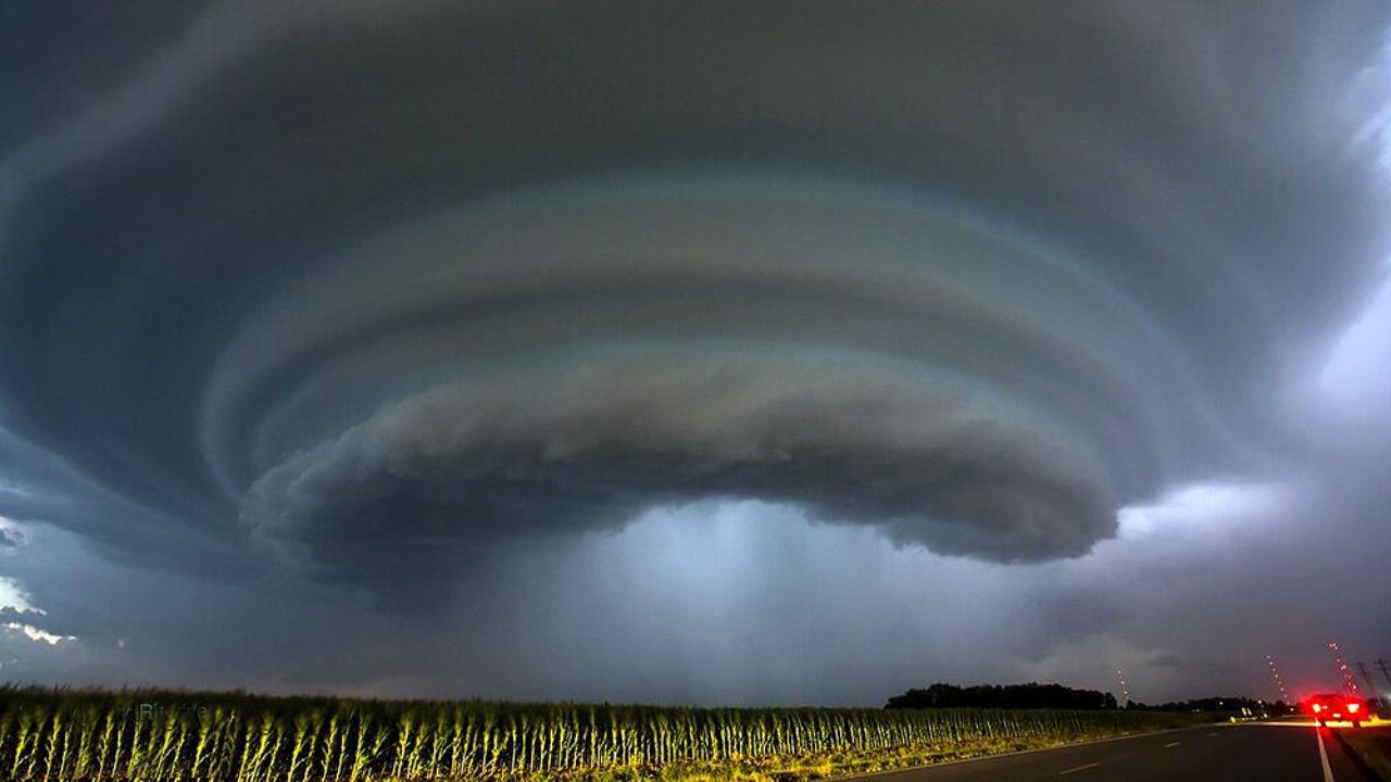 تصاویر منتخب محیط زیست در سال ۲۰۱۹