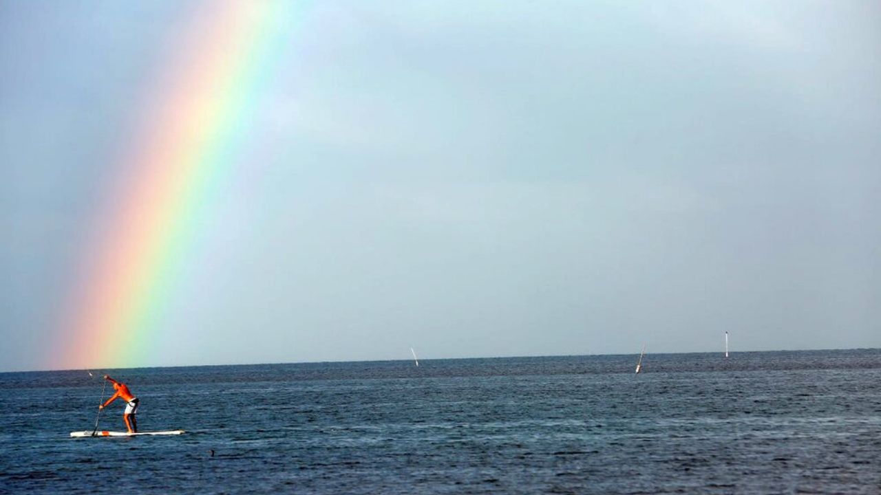 تصاویر منتخب محیط زیست در سال ۲۰۱۹