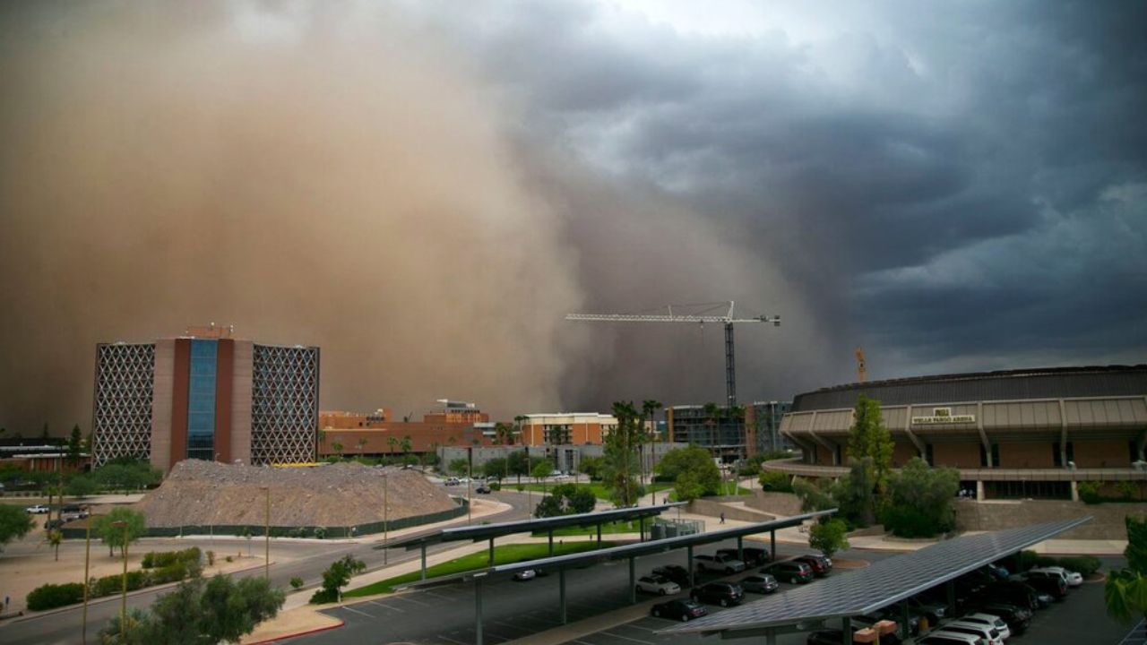 تصاویر منتخب محیط زیست در سال ۲۰۱۹