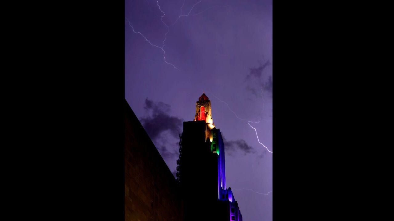 تصاویر منتخب محیط زیست در سال ۲۰۱۹