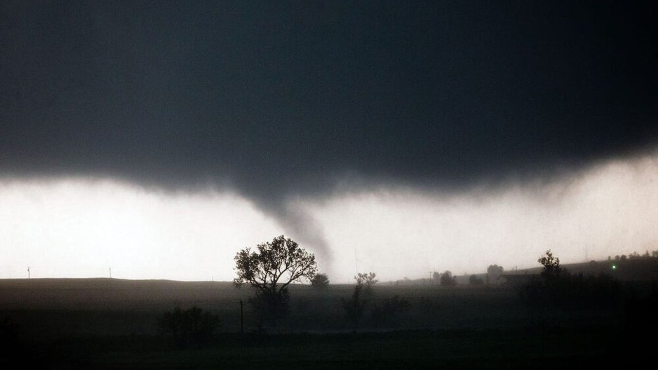 تصاویر منتخب محیط زیست در سال ۲۰۱۹