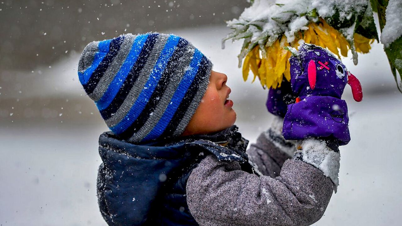 تصاویر منتخب محیط زیست در سال ۲۰۱۹