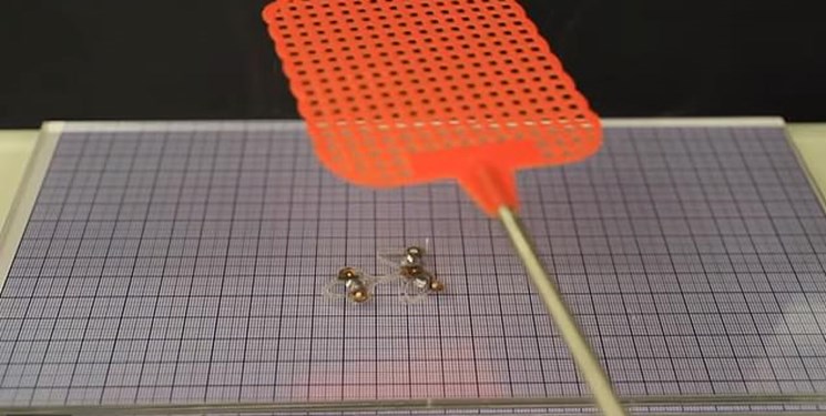 حشره رباتیک