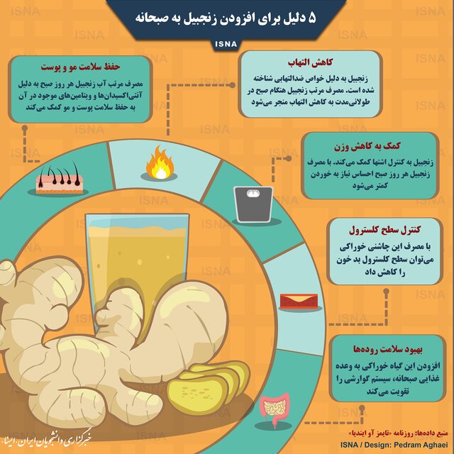 ۵ دلیل برای آنکه زنجبیل را به صبحانه تان اضافه کنید اینفوگرافی خاصیت زنجبیل