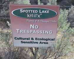 دریاچه ای پر از لکه های رنگارنگ