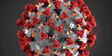 مردی که قرنطینه کرونا را شکست، طعمه تمساح شد