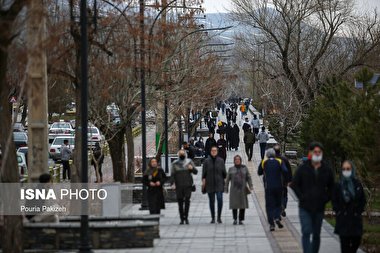 حمله با چاقو در فرانسه 2 کشته و 7 زخمی برجا گذاشت