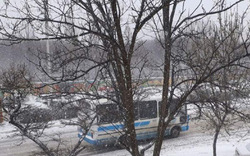 بارش برف بهاری در اردبیل؛ ۱۹ فروردین ماه + فیلم